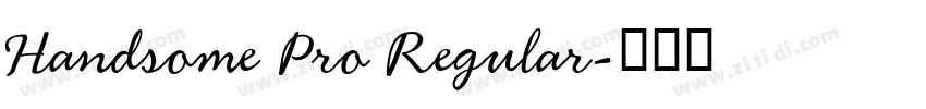 Handsome Pro Regular字体转换
